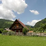Domek alpejski In Nahe Skipisten *