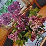 Chalet In Nahe Skipisten Einach