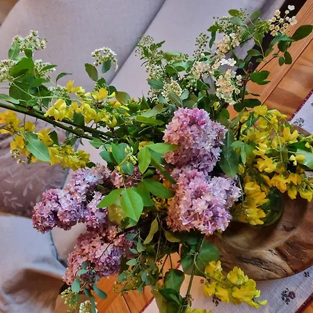 Chalet In Nahe Skipisten *