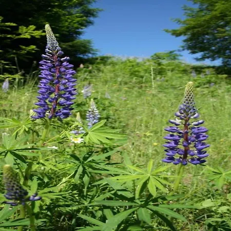 In Nahe Skipisten * Einach