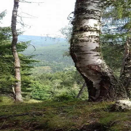 In Nahe Skipisten شاليه