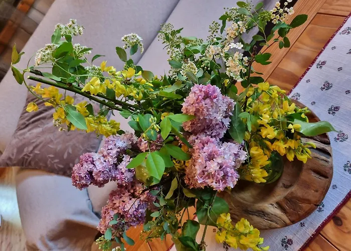 شاليه In Nahe Skipisten *