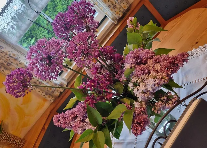 شاليه In Nahe Skipisten Einach