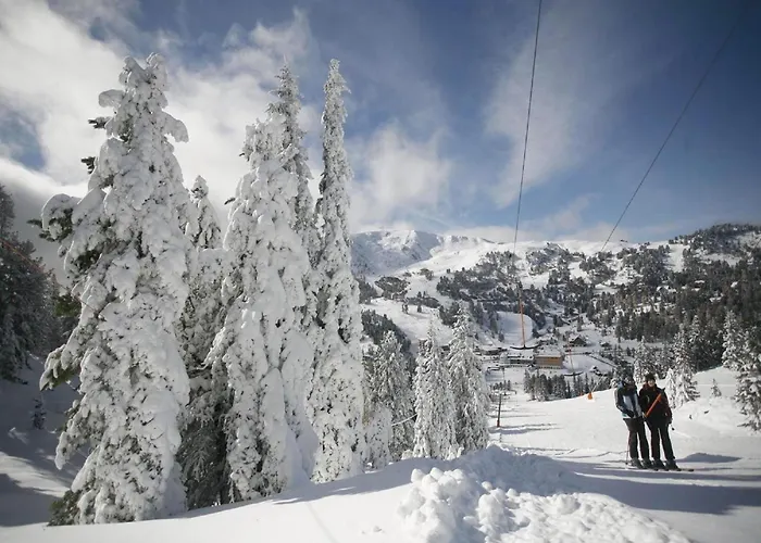 Chalet In Nahe Skipisten Einach
